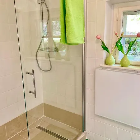 Newly Renovated House Reichenau Nature Reserve Villa Kleinau