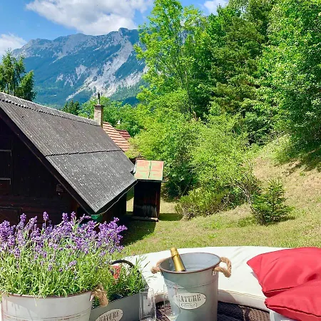 Newly Renovated House Reichenau Nature Reserve *