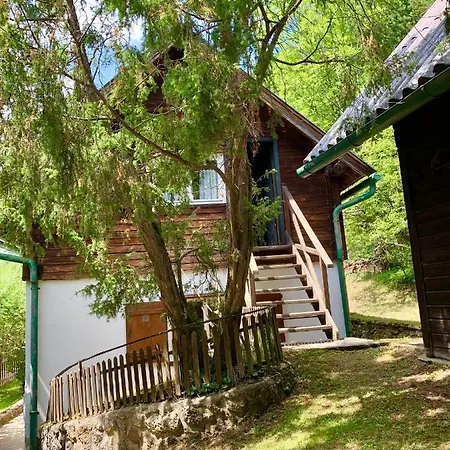 Villa Newly Renovated House Reichenau Nature Reserve