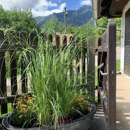 Newly Renovated House Reichenau Nature Reserve Kleinau