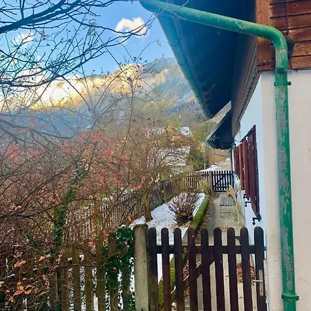 Newly Renovated House Reichenau Nature Reserve Villa *