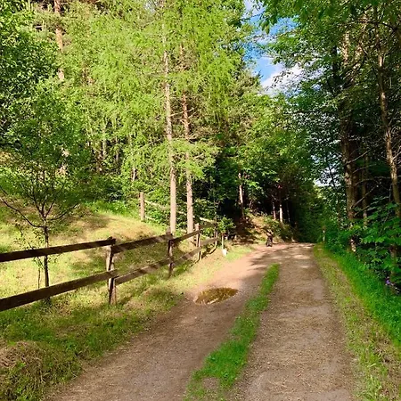 Newly Renovated House Reichenau Nature Reserve Villa *