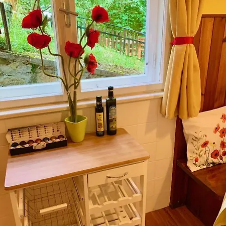 Newly Renovated House Reichenau Nature Reserve 别墅 Kleinau