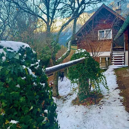 Newly Renovated House Reichenau Nature Reserve
