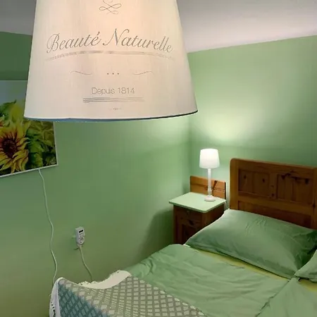 Newly Renovated House Reichenau Nature Reserve *