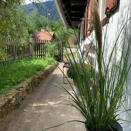 Newly Renovated House Reichenau Nature Reserve Kleinau